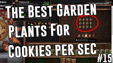 Cookie clicker gardening guide - Cookie clicker garden guide Seeds in Cookie Clicker The seeds are an element of the minigame Garden that you receive while upgrading the farms. While you upgrade the game at first, you only have a wheat seed of the baker. In the original garden, you can also generate Meddleweed from blank pots.